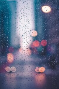 Fold Umbrella