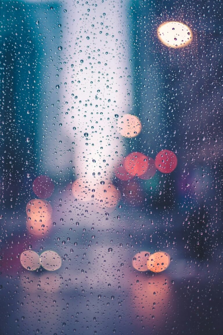 Fold Umbrella