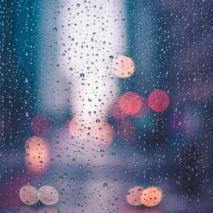 Fold Umbrella